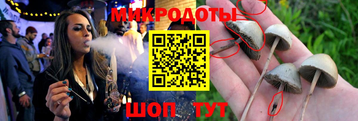 Галлюциногенные грибы GOLDEN TEACHER  Галлюциногенные грибы MAGIC MUSHROOMS  купить наркотики цена  Кушва  Вход с VPN 