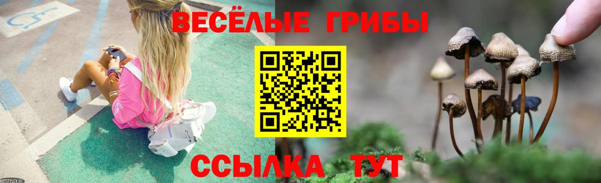 Псилоцибиновые грибы Psilocybe Кушва